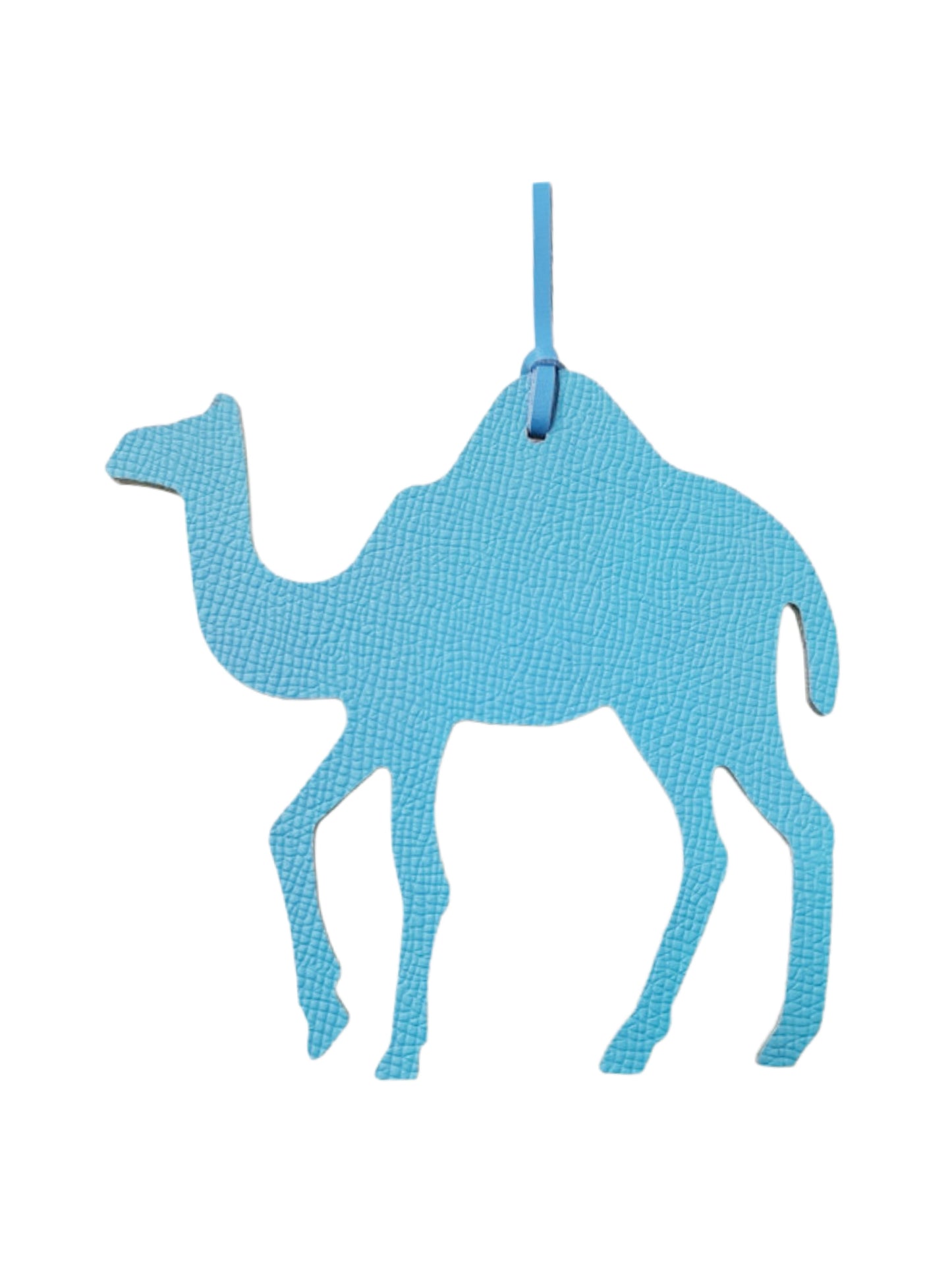 Leather Camel Bag Accessory AQUA